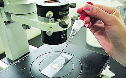 二維色譜、基因測序儀等儀器項目獲豫科技發(fā)展專項資金支持