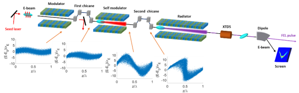 軟X射線(xiàn)自由電子激光裝置實(shí)驗(yàn)研究取得進(jìn)展